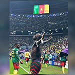 Vincent Aboubakar brise le silence