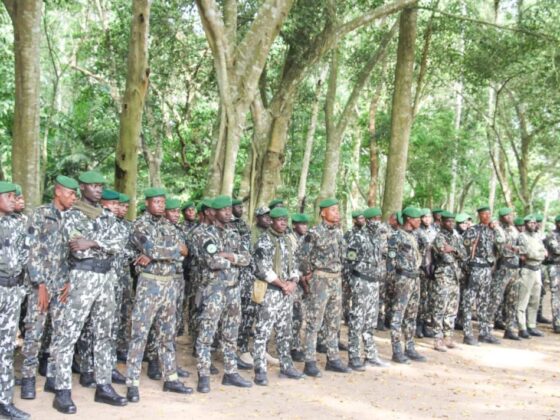 Concours des Eaux et Forêts 2022