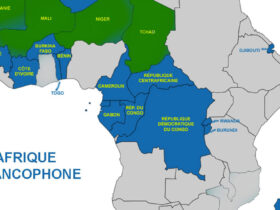 Pays Dangereux Afrique Francophone