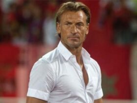 Getty Images - La Côte d’Ivoire prête Hervé Renard pour la suite de la Can 2023