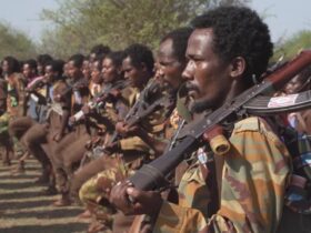 @France24 - Éthiopie : 12 policiers tués dans un guet-apens terroriste