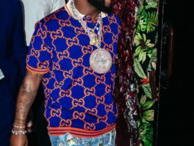 Davido annonce un nouvel album et prévient ses détracteurs