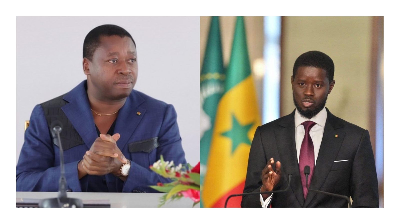 Faure Gnassingbé et Bassirou Diomaye Faye ambassadeurs de la CEDEAO auprès de l'AES
