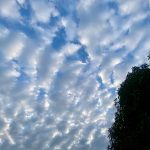 7 personnes à éviter pour vivre en paix