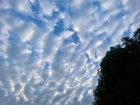 7 personnes à éviter pour vivre en paix