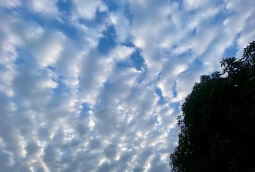 7 personnes à éviter pour vivre en paix