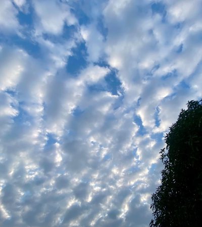 7 personnes à éviter pour vivre en paix