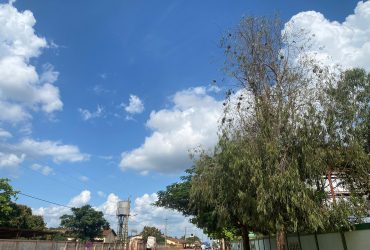 Choisis ta dignité : Quand l’indifférence devient un signal d’alarme