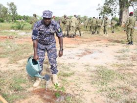 Togo – Journée nationale de l’arbre : la Gendarmerie nationale en première ligne pour l’environnement